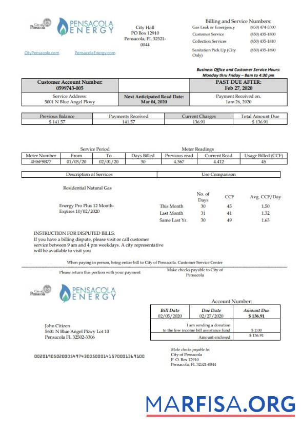 Printable USA Florida Pensacola Energy utility bill template in Word and PDF format
